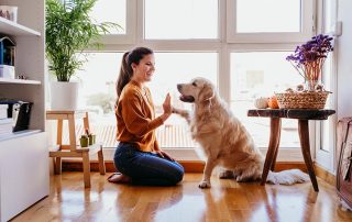 woman with golden retriever in front of windows